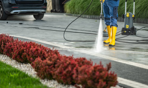 Best Fence Cleaning  in Burlington, IA